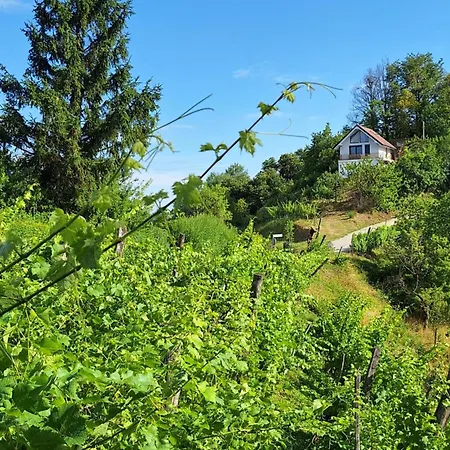 En Hribcek Appartement