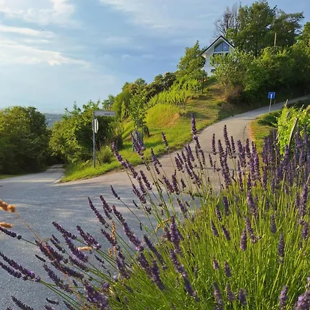 En Hribcek Ptujska Gora