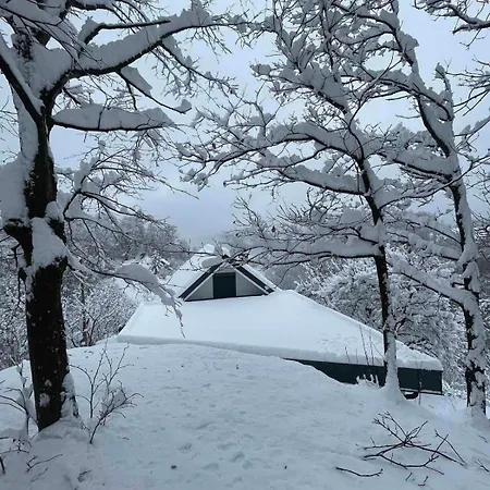 En Hribcek アパート