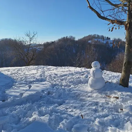 En Hribcek * Ptujska Gora