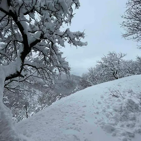 アパート En Hribcek