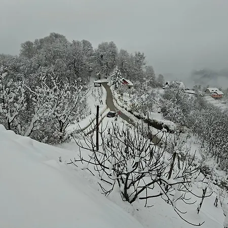 En Hribcek * Ptujska Gora