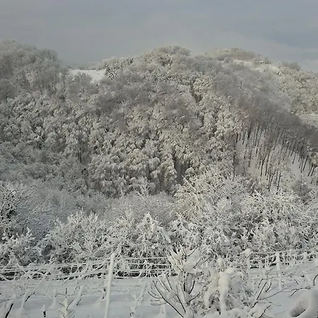 Appartement En Hribcek *