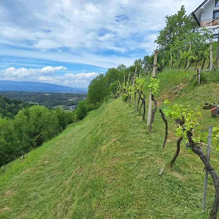 Apartment En Hribcek Ptujska Gora