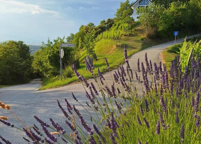 En Hribcek Ptujska Gora