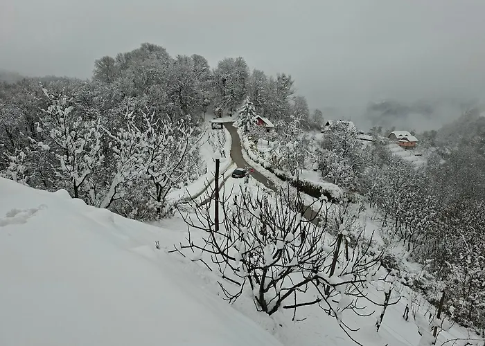 En Hribcek * Ptujska Gora